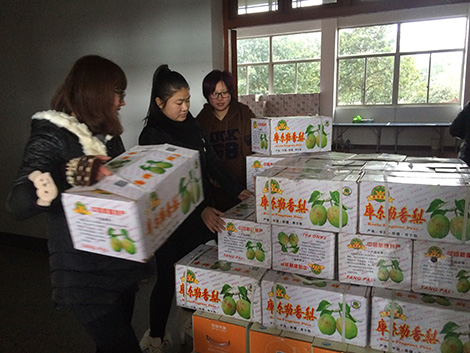 Ա���������